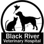Black River Veterinary Hospital